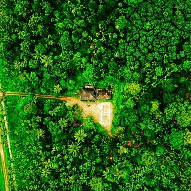 Swastha Plantation Homestay Kaniyāmbetta Eksteriør billede