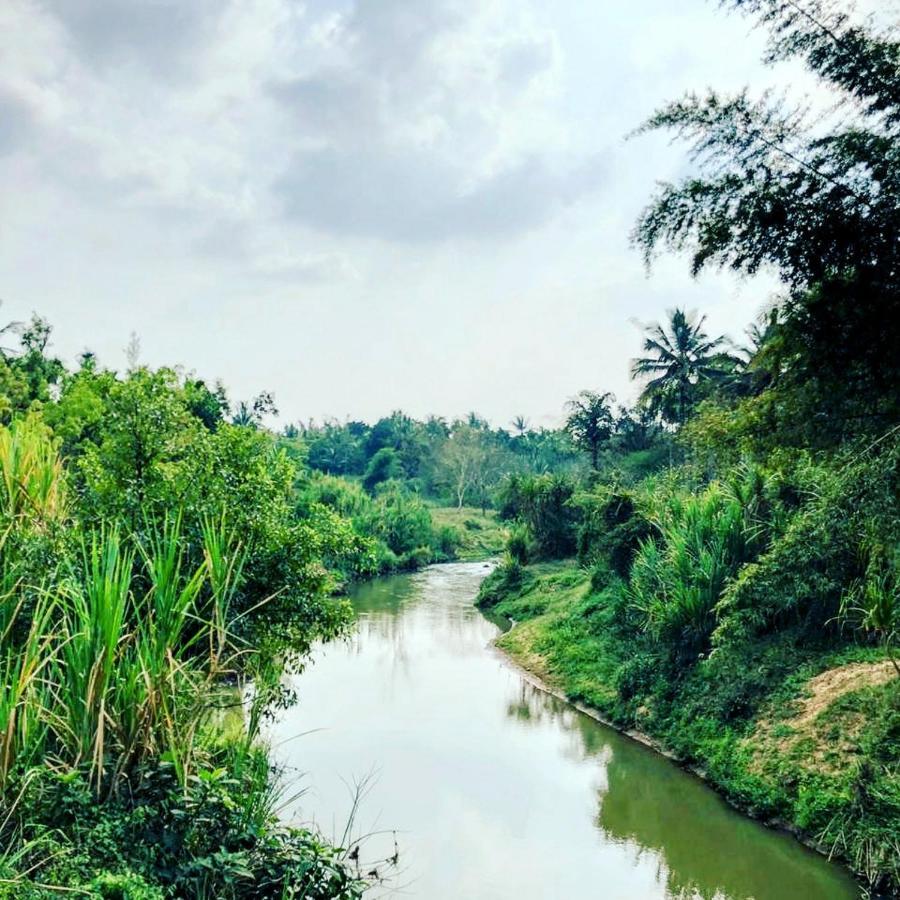 Swastha Plantation Homestay Kaniyāmbetta Eksteriør billede